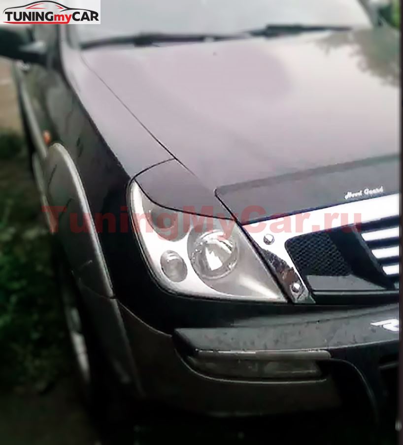 Реснички на фары для Ssang Yong Rexton 2001-2006