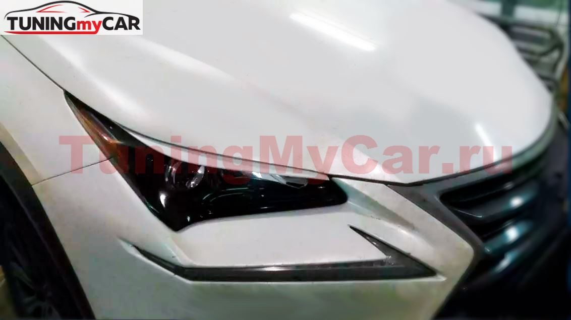 Реснички на фары для  LEXUS NX200/200t (Z10) 2014-2017