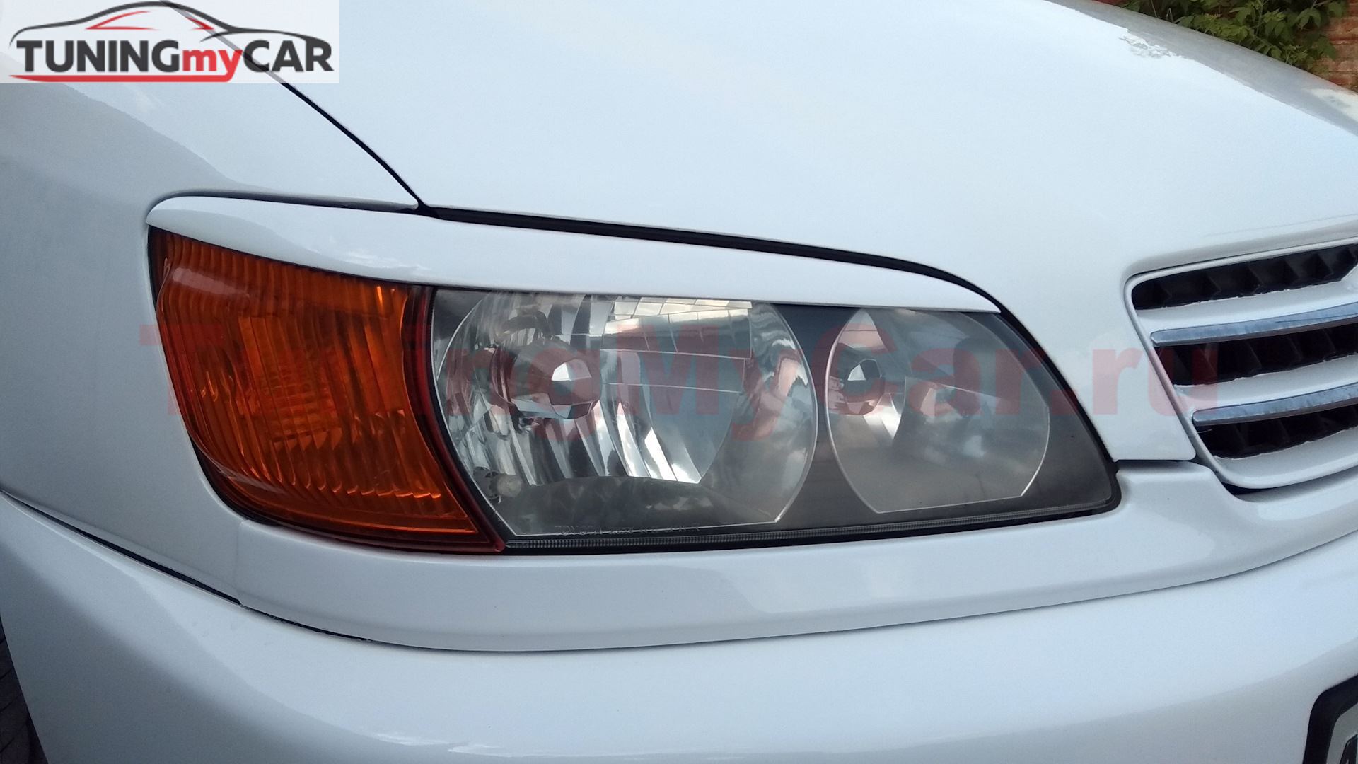 Реснички на фары для Toyota Ipsum SXM10 1996-2001 