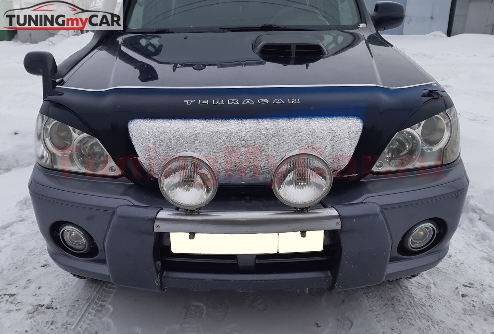 Накладки на фары (реснички) для Hyundai Terracan 2001-2007
